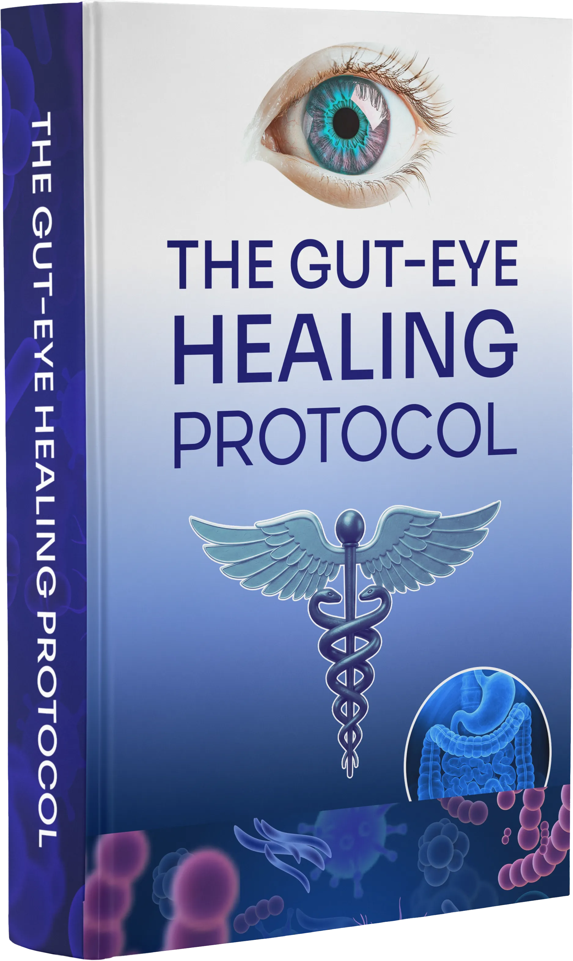 Gut-Eye Healing Protocol digital guide